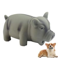 〖Love pets〗 Pig Squeaky Dog Toy Grunting Pig Dog Toy That Oinks Grunts For Small Medium Large Dogs Cute Pig Grunting Squeak Pet Chew Toys