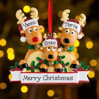 Personalised Family Christmas Xmas Tree Bauble Decoration Ornament Elk Deer Family 2021 Christmas Holiday Decor (no lettering)