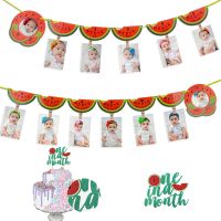 Watermelon 1 Year Photo Banner 1-12 Month Photo Banner 1st Birthday Decorations Baby Girl Monthly Milestone Photo Prop Garland