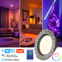 WiFi TUYA LED Downlight 6W 10W Dimmin Ceiling Lamp Timer RGB Change Warm Cool Lights Smart Life APP For Alexa Home