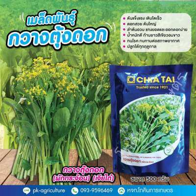 เมล็ดพันธุ์กวางตุ้งดอก (ผักกระจ้อน) (เจียไต๋) ขนาด 500 กรัม