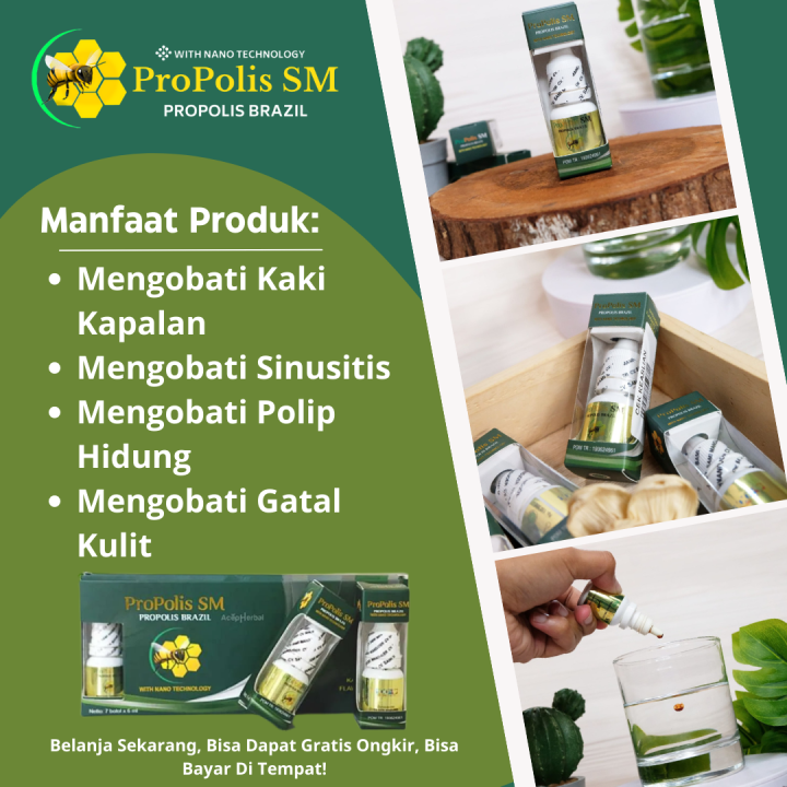 Propolis SM - Obat Sinusitis, Obat Polip Hidung, Obat Pilek Menahun ...