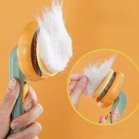 【FCL】✔▧ Hair Remover Pumpkin Comb Dog Needle Floating Acessorios Grooming