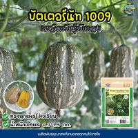 เมล็ดฟักทอง บัตเตอร์นัท1009  ตราเจียไต๋ เมล็ดพันธุ์ฟักทอง เมล็ดพันธุ์ผัก เมล็ดพันธุ์ผักสวนครัว