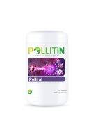 POLLITIN พอลลิติน อาหารเสริม: Pollital พอลลิทอล™