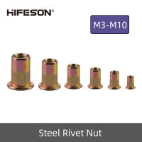 20 Pcs M3 M4 M5 M6 M8 M10 Steel Rivet Nuts Flat Head Threaded Insert Nutsert Cap for Riveter Gun Zinc Plated Carbon