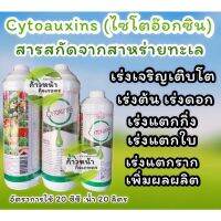 ไซโตออกซิน (Cytoauxins) สาหร่ายทะเลสกัดสดจากแอฟริกาใต้ ช่วยเปิดตาดอก กระตุ้นการเจริญเติบโต