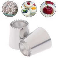 【hot】✤☞  2Pcs Large Stainlessl Pastry Russian Nozzles Icing Piping Baking Tools