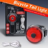 ✷◇▲ Smart Turn Signal Light Bike Rear Tail Laser LED Bicycle USB Indicator Wireless Remote MTB Road Cycling Red Warning Lamps