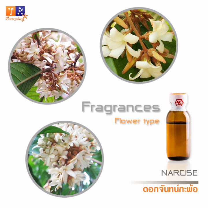 หัวน้ำหอมกลิ่น-fw32-flower-narcise-ดอกจันทน์กะพ้อ-ปริมาณ-25กรัม