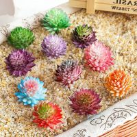 【YF】✼☊❈  1pc Artificial Succulent Landscape Multicolor Fake Succulents Garden Decoration