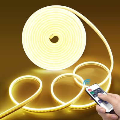 12V Neon Light LED Strip with RF Remote Control Wall Lamp Waterproof For Kitchen Christmas Decor Dimmable Silica Gel Neon Sign LED Strip Lighting