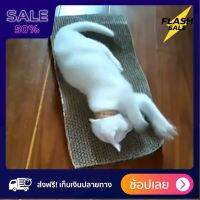 [[แท้100%]] ของเล่นแมว (cat toy) ที่ลับเล็บแมว ที่รับเล็บแมว ที่ฝนเล็บแมว โต ทำจากกระดาษลูกฟูกไม่เป็นอันตรายต่อแมว ส่งฟรีทั่วไทย by powerfull4289