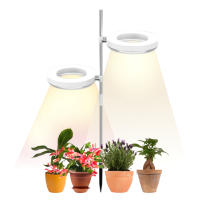 Indoor Small Plant Light Full Spectrum LEDs Plant Light Desktop Mini Plant Light Height Adjustable Plant Light with IPL &amp; Sunlight in Double Lamp Holder