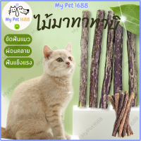 [MyPet1688] ไม้มาทาทาบิ ขัดฟันแมว มาทาบิ สำหรับแมว แคทนิปญี่ปุ่น ไม้แมวเมา ไม้ขัดฟัน ก้านมาทาทาบิ ไม้แปรงฟันแมว