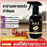 สเปย์กำจัดมด ยากำจัดมดภายในบ้าน กำจัดแมลง  Pest Control