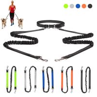 Hands Free 2 Dog Leashes Bungee Retractable Pet Running Waist Leash for Walking Jogging Training Hiking For Large Dogs Supplies Leashes