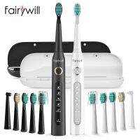 [Hot Sale] FairywillElectric ToothbrushSonicUSB 5-ModeFW-507 ChargerIPX7พร้อมหัวแปรง3หัวของขวัญ