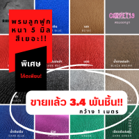 สีเยอะสุดในแอพ?? CARPET19 พรมลูกฟูก มีหลายสี กว้าง 1 ม.หนา 4-5 มม. หนาแน่น 550 ก / ตรม. อ่านวิธีสั่งในรายละเอียดสินค้า สูงสุด 25 เมตร พรมปูพื้น พรมถวายวัด