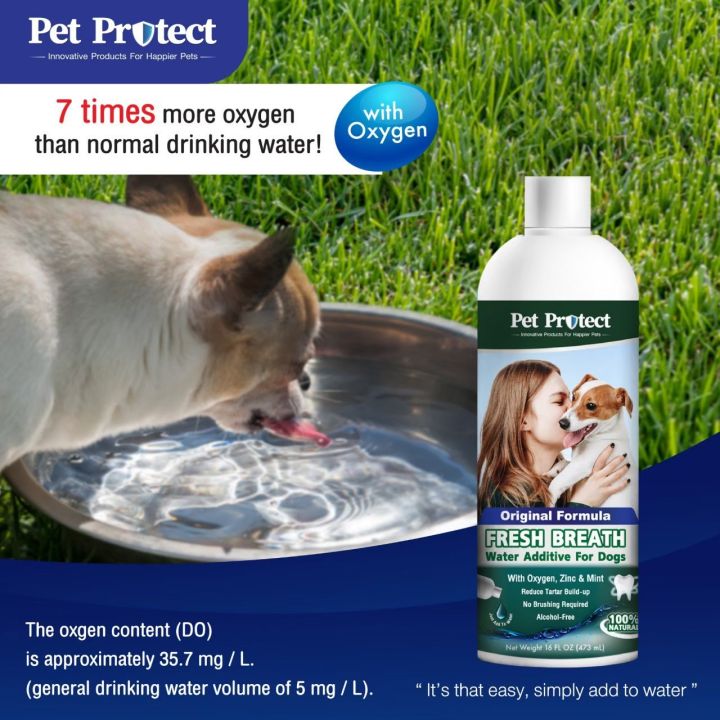 pet-protect-original-formula-สีเขียว-น้ำยาดับกลิ่นปากสำหรับ-สุนัข-ใช้ผสมน้ำดื่ม-ลดคราบหินปูน-ลดกลิ่นปาก