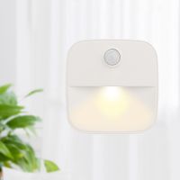 ☢❆✇ LED Night Light PIR Motion Sensor Light Wall Plug in Night Lamp Bedroom 220V 110V Socket Lamps For Closet Aisle Hallway Pathway