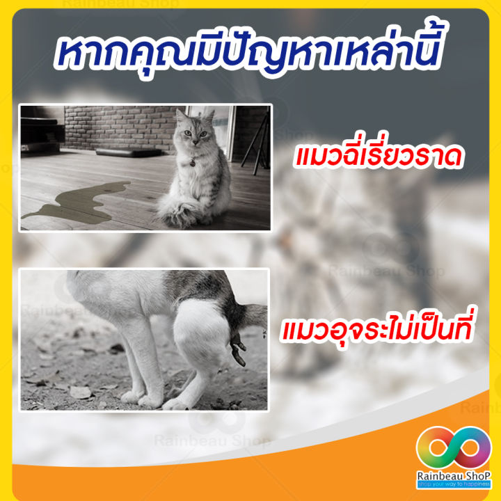 rainbeau-ชุดฝึกแมว-ชุดฝึกแมวเข้าห้องน้ํา-cat-toilet-training-อุปกรณ์ฝึกน้องแมวนั่งชักโครก-ชุดฝึกแมวใช้ชักโครก-ห้องน้ำแมว-ขั้นเทพ-ฝึกได้กับแมว-3-เดือนขึ้นไป-ช่วยคุณบอกลากับ-กระบะทรายแมว-ทรายแมว-ได้เลย-