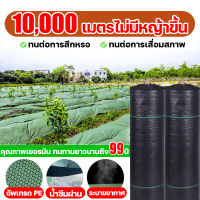 10,000 เมตรไม่มีหญ้าขึ้น OUMANDI พลาสติกคลุมดิน พลาสติกคลุมวัชพืช 1m*20m หนาขึ้น กันแดดและทนทาน 99ปี วัสดุที่ย่อยสลายได้ การซึมผ่านของน้ำที่แข็งแกร่ง ไม่ส่งผลต่อการเจริญเติบโตของพืช ผ้าคลุมวัชพืช พลาสติกคลุมหญ้า ผ้าคลุมดินป้องกันวัชพืช พราสติกคลุมดิน