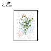 CHIC REPUBLIC CINDAL-B/40x50,ภาพติดฝาผนัง - สี หลากสี