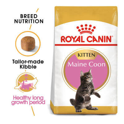 Royal canin hotsell kitten repack