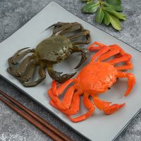 【CW】 Simulation Hairy Crab Artificial Fake Crab Seafood Aquatic Products Store DecorationDECOR OrnamentProps Artificial