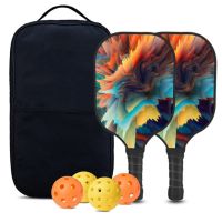 Pickleball Paddles Set USAPA Approved Fiberglass Sur Pickleball Set With Balls And Bag ​For All Ages Beginners Players