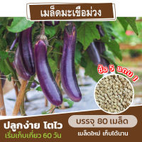 เมล็ดพันธุ์ มะเขือม่วง แบ่งขาย 80 เมล็ด (ซื้อ 5 แถม 1)✨