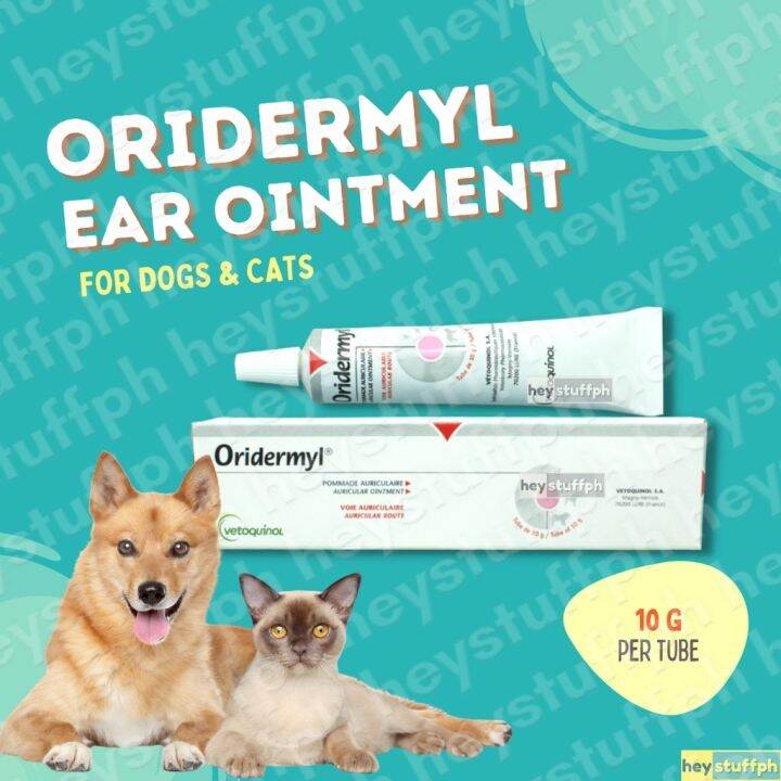 Oridermyl Ear Ointment 10g for Dogs and Cats | Lazada PH