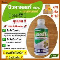 ยกลัง - บิวทาคลอร์ - เออร์ลี 1 ลิตร - คุมเลน หญ้าข้าวนก หญ้าดอกขาว หน้าแดง ผักปอดนา เทียนนา ขาเขียด กก หนวดปลาดุก