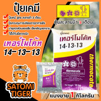 ปุ๋ยเคมี เทอร์โมโค้ท 14-13-13 แบ่งขาย 1 กิโลกรัม ปุ๋ยแคคตัส ปุ๋ยเม็ด ปุ๋ยต้นไม้ ปุ๋ยไม้ประดับ ละลายช้านาน 3เดือน อาหารเสริมพืช