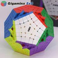 DianSheng Magnetic Megamin 5x5 Cube Gigaminx Magnet Dodecahedron 12 Faced Magic Puzzles Mgico Cubos Professional Educational Toy Brain Teasers