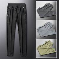 [COD] 2022 Silk Pants Mens and Large Size Korean Loose Thin Nine-point Leisure Straight