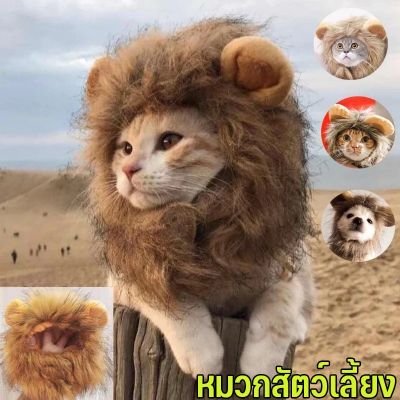 【Familiars】COD หมวกสัตว์เลี้ยง วิกผมแมวน่ารัก รูปร่างสิงโต หมวกแมว หมวกสุนัข อุปกรณ์ปาร์ตี้แฟนซ
