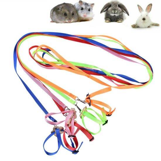 Buzhide chống cắn mềm vẹt rùa dây tập luyện chuột hamster vật nuôi khai - ảnh sản phẩm 1