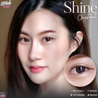 ร้านเลนส์สวยคอนแทค Wink รุ่น Shine /สี Brown น้ำตาล Gray เทา นำเข้าจากเกาหลี มี อย.ไม่มีค่าสายตา(แฟชั่นสุดHit ขายดี)