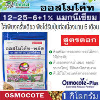 ปุ๋ยออสโมโค้ท-พลัส ขนาด 1 กิโลกรัม สูตร 12-25-6+1% แมกนีเซียม (เร่งดอก)