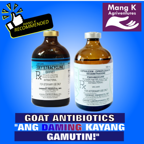 Mang K Goat Antibiotics Bundle |OXYVET LA 100ml plus PNEUMOSURE 100ml ...