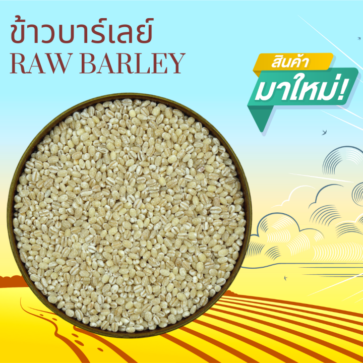 ข้าวบาร์เลย์ดิบ 500 กรัม Raw Barley 500 g