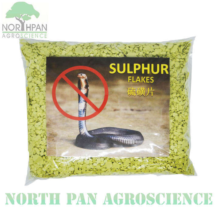 Sulphur flakes / 1kg / Insecticide, Fungicide, Pesticide / kill insects
