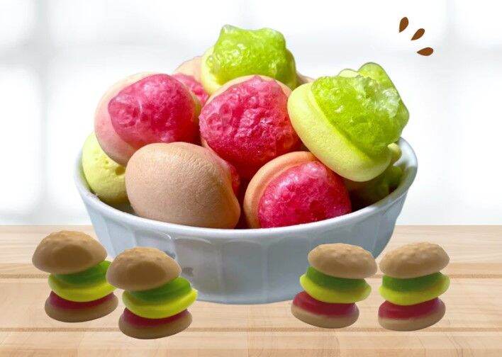 Freeze Dried Gummy Burger (Halal) Lazada Singapore