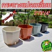 กระถางแปดเหลี่ยมตัดมุมขนาด2-4