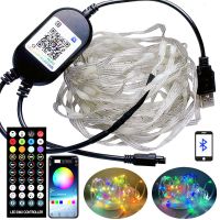 WS2812B LED String 5M 10M 15M 20M RGB Christmas Lights WS2812 Led Strip Bluetooth Music Full Color Addressable Individually DC5V