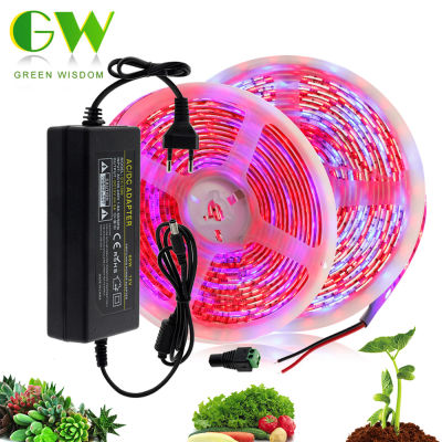 2021Plant Grow Lights 5m Waterproof Full Spectrum Phytolamp LED Strip Lamp for Plants Flowers Phyto Lamp for Greenhouse Hydroponic