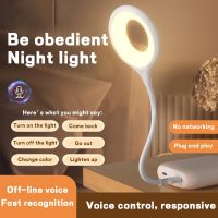 Chinese/English Voice Controll Night Light Smart Home Energy-Saving Body Sound Sensor Usb Atmosphere Lamp Night Lights