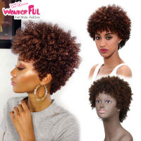 Wonderful Human Hair Wigs Brazilian Afro Kinky Curly Hair Wigs Short Human Hair Wigs For Black Women Wholesale Machine Made Wigs